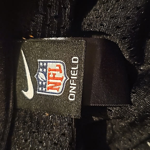 Troy polamalu jersey american flag numbers - Picture 3 of 3